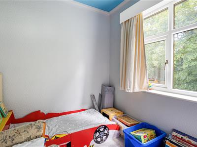 Picture 19